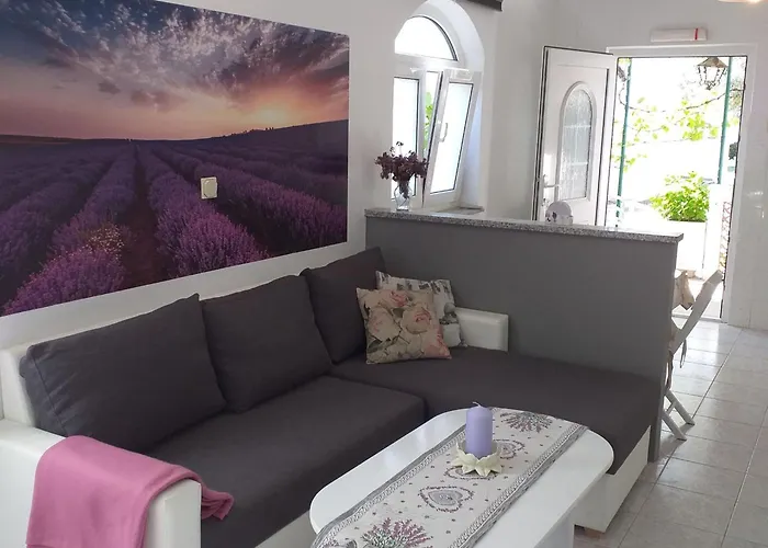 Lavanda &